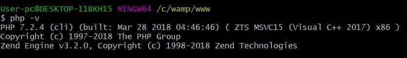 php -v check php version