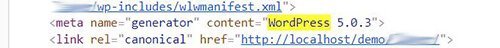 WP Generator Meta Tag & Version Info