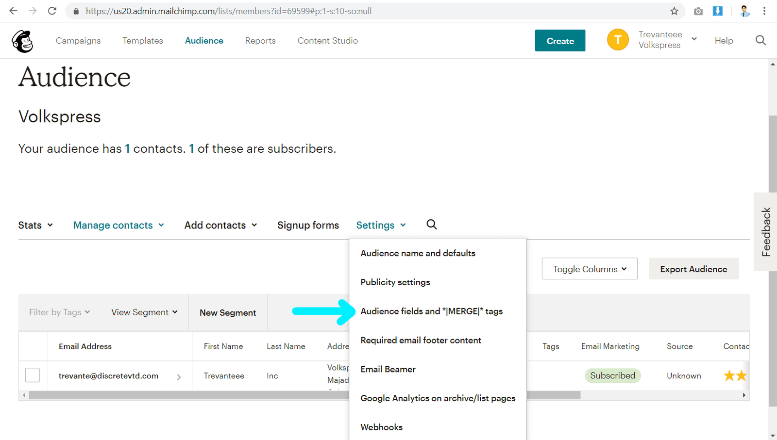 mailchimp - navigate to audience fields and merge tags
