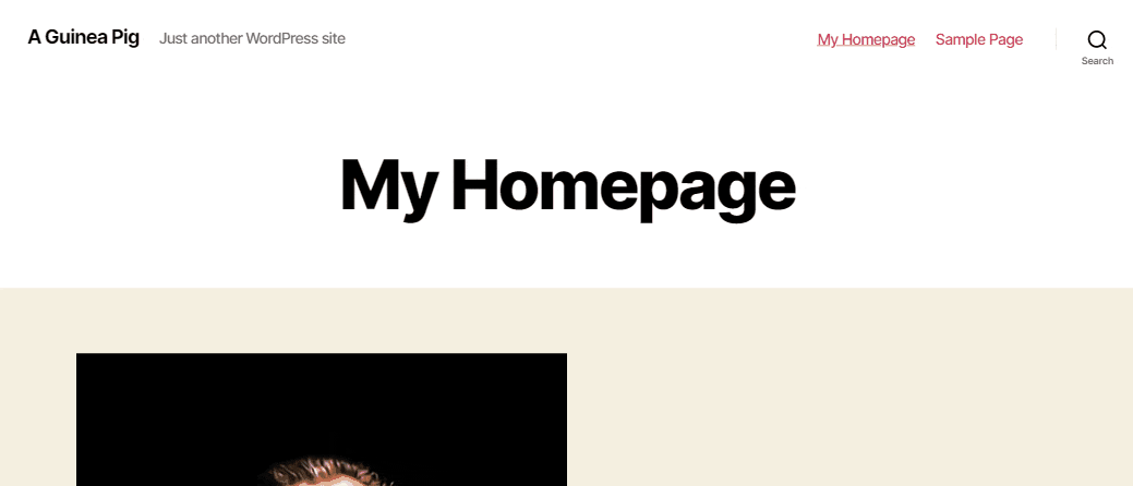 WordPress Scroll To Div On Mouse Scroll Using JavaScript