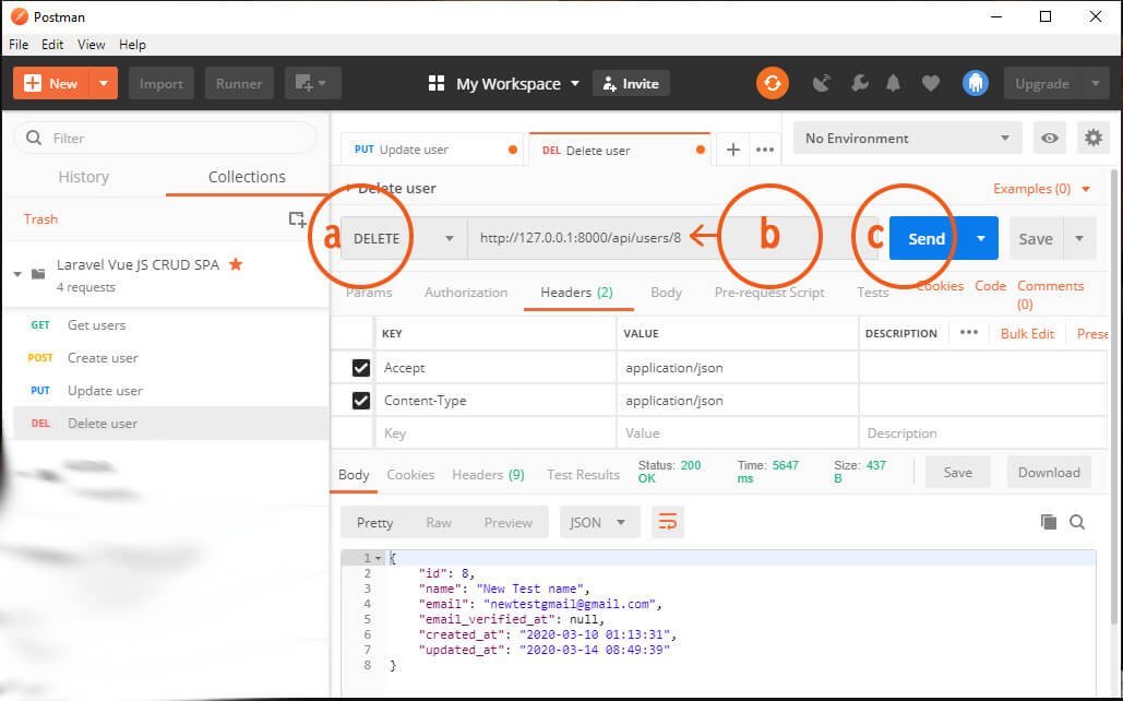 Laravel Vue JS CRUD SPA - try delete user API using Postman