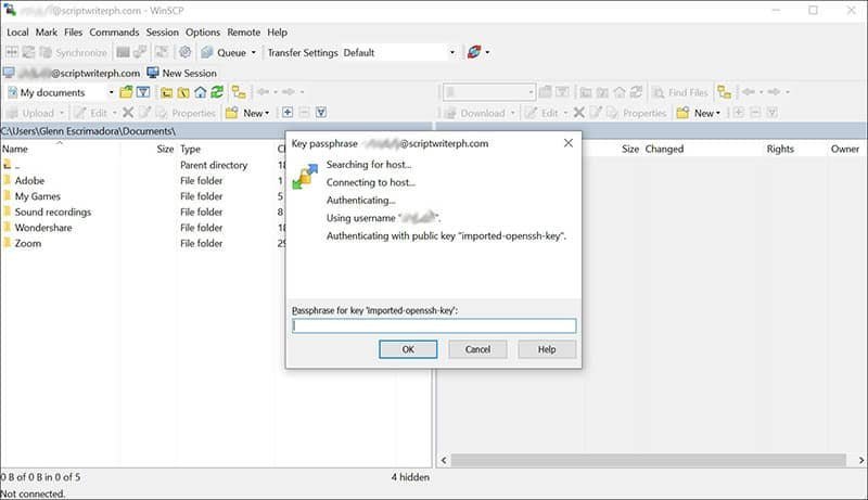 Connect to your web server using WinSCP