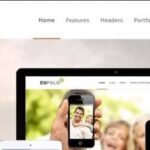 Enfold default demo header design style
