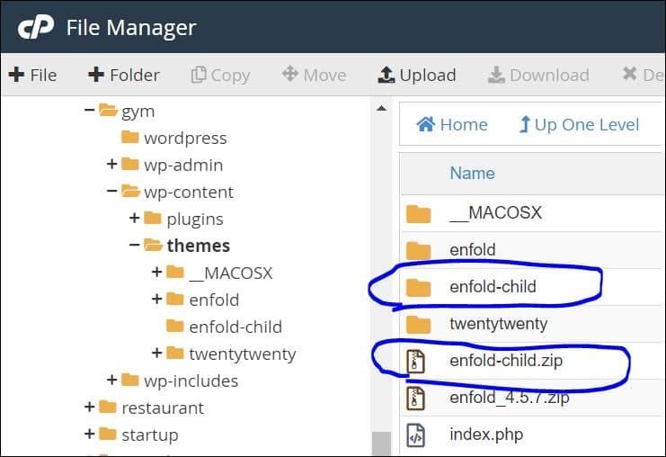Install Enfold child theme via cPanel