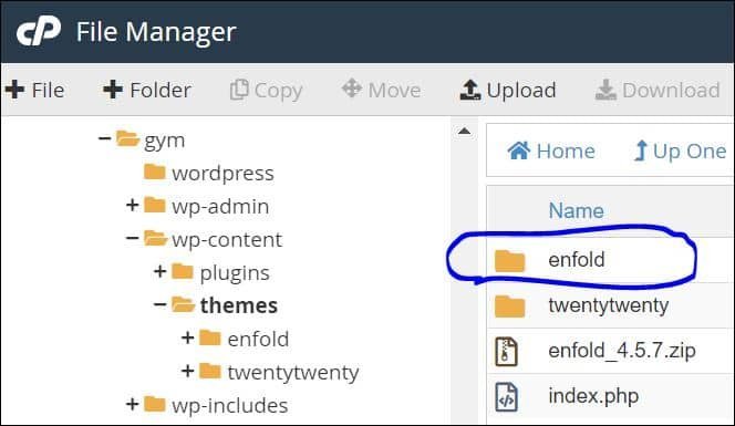 Upload then extract or unzip Enfold zip to your-project-folder wp-content themes folder